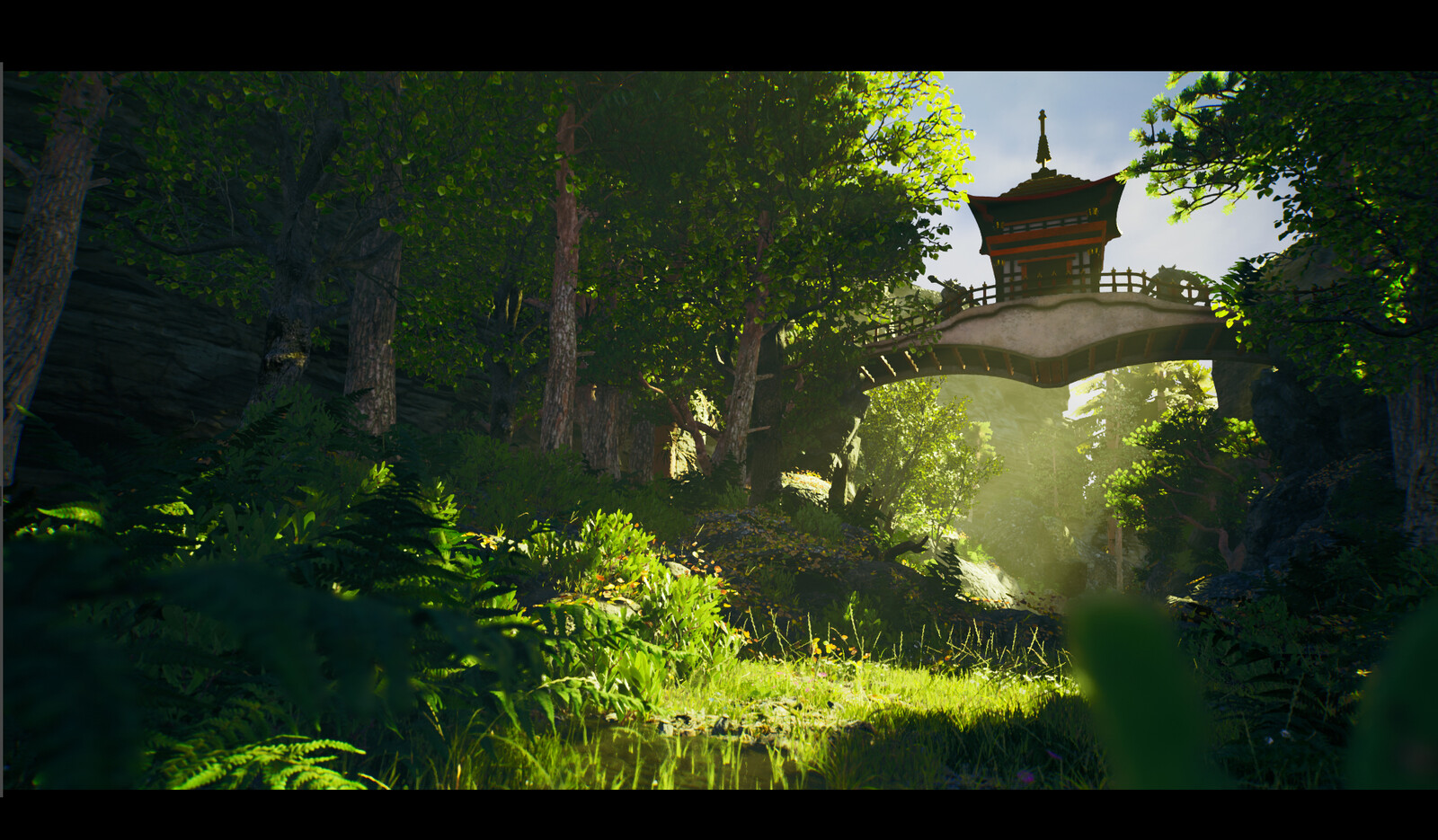 Forest Bridge
