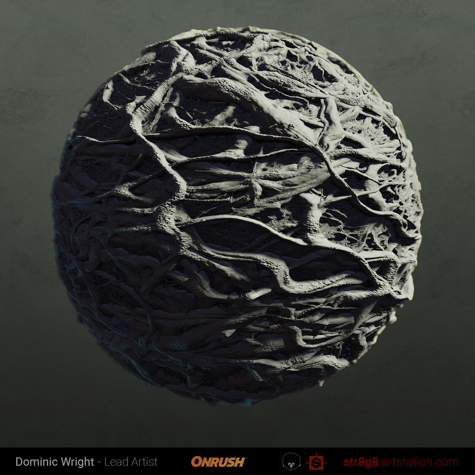 Forest roots grey