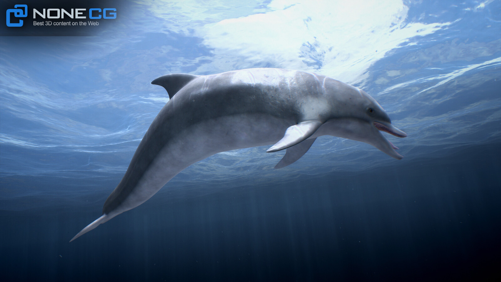 Animated Bottlenose Dolphin