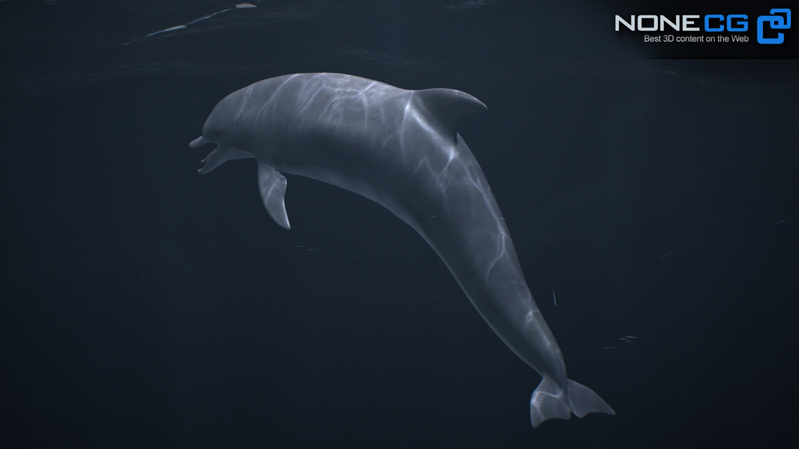 Animated Bottlenose Dolphin