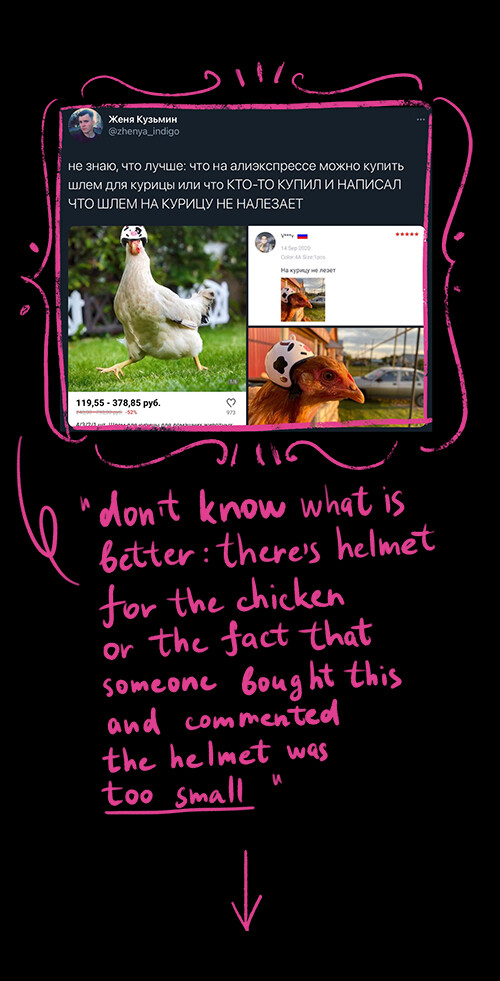 Irina Gurova chickens in helmets