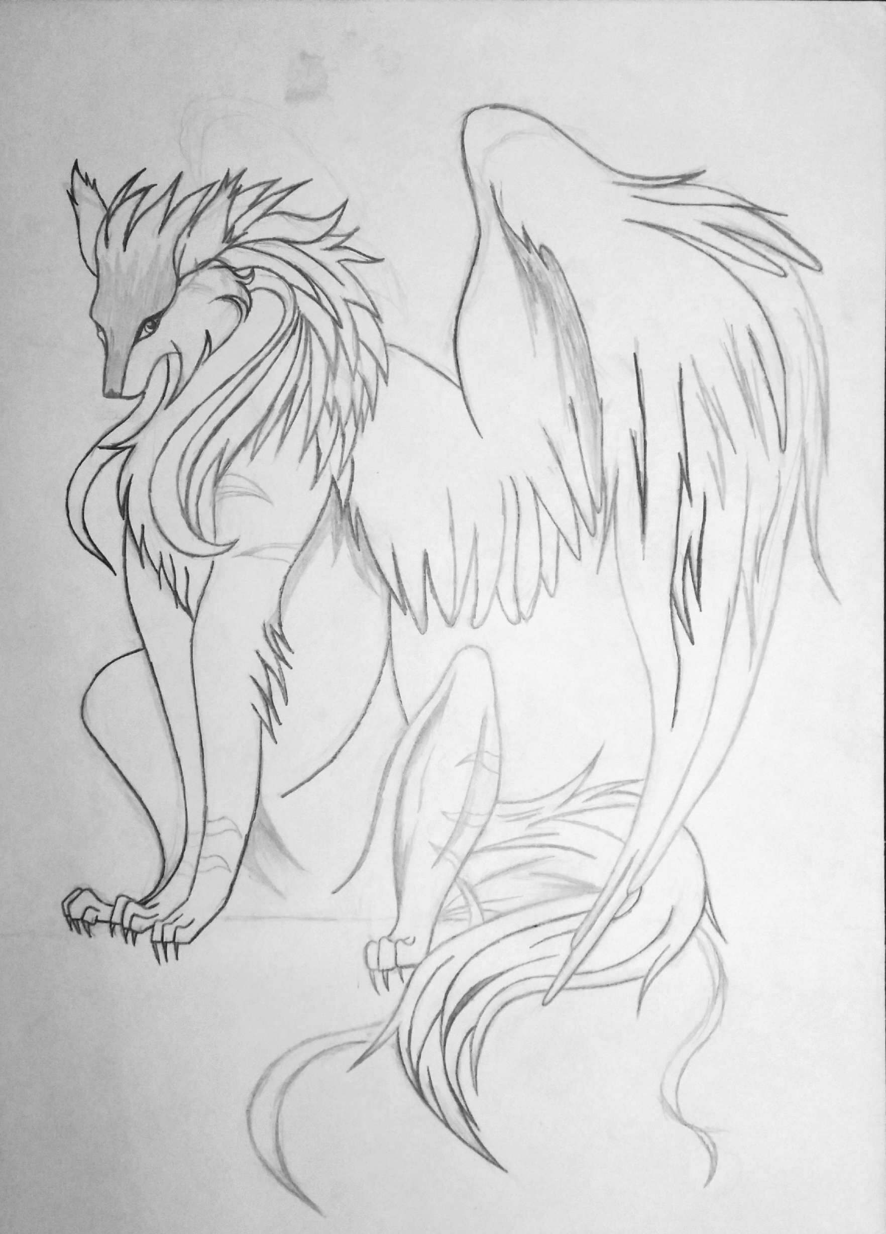 black winged wolf drawing