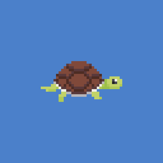 Manuelita the turtle