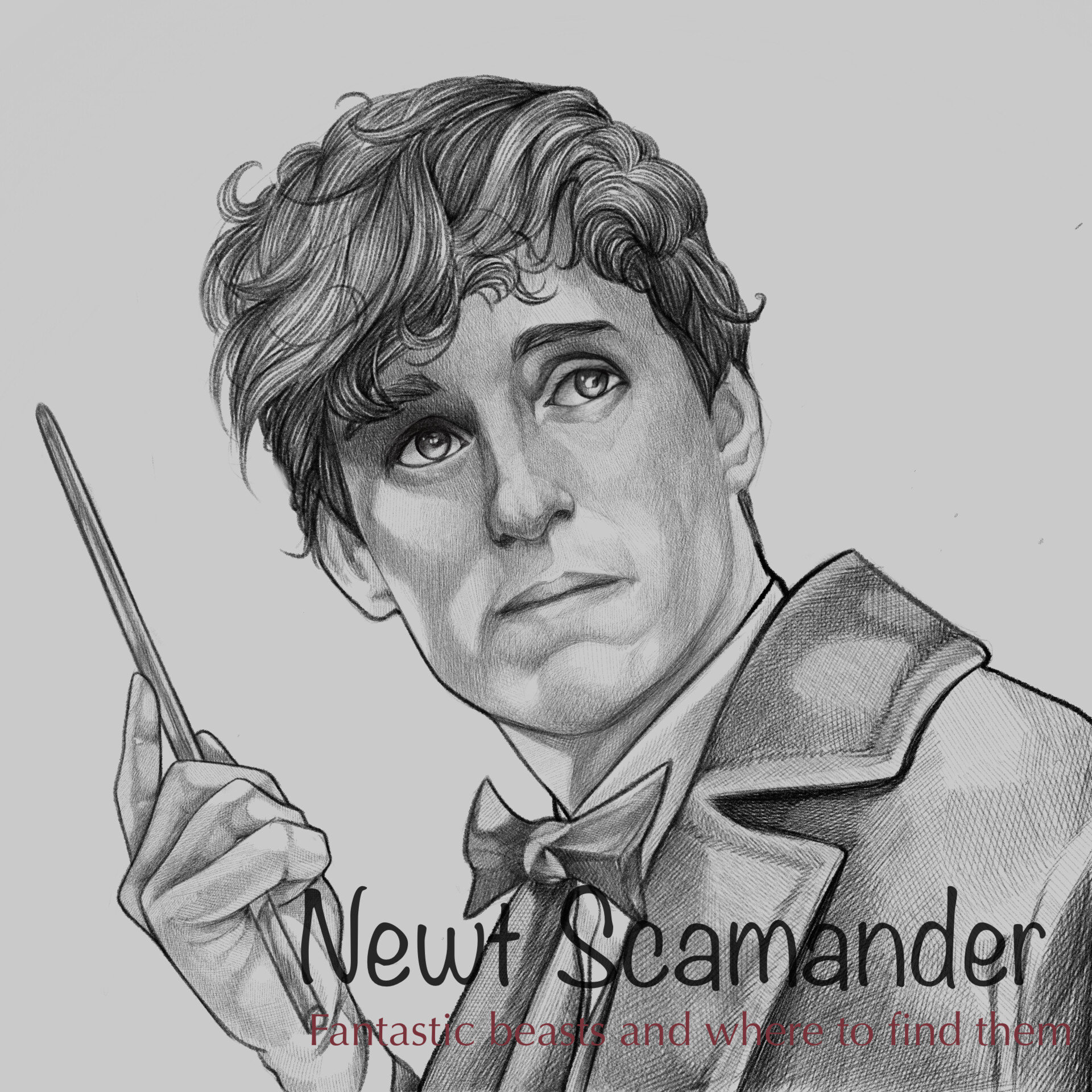 Fido newton clearance