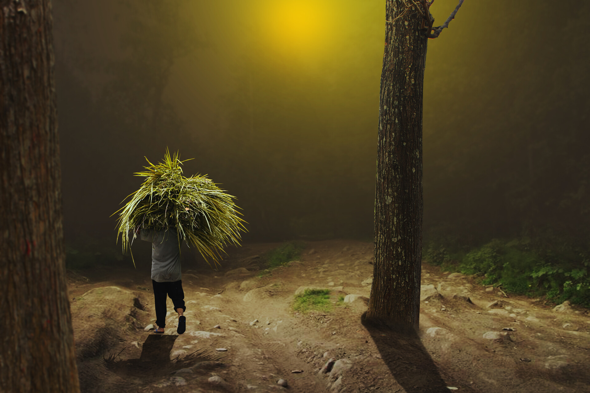 photoshop photo manipulation human interest