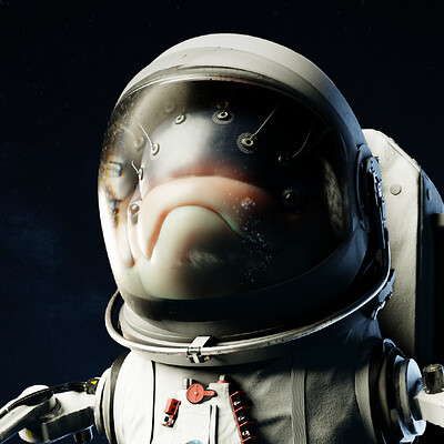 Dolphin in Space