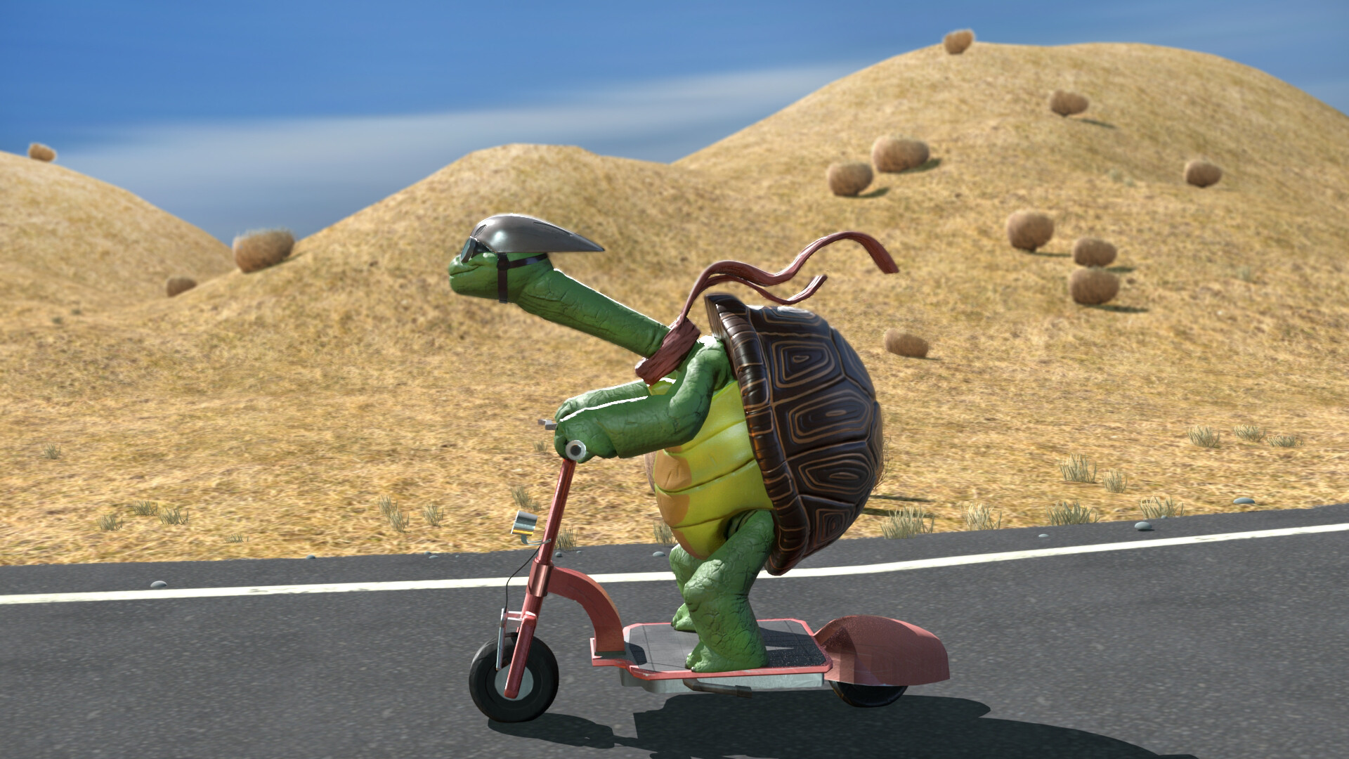 Amanda Parks - Scooter Turtle
