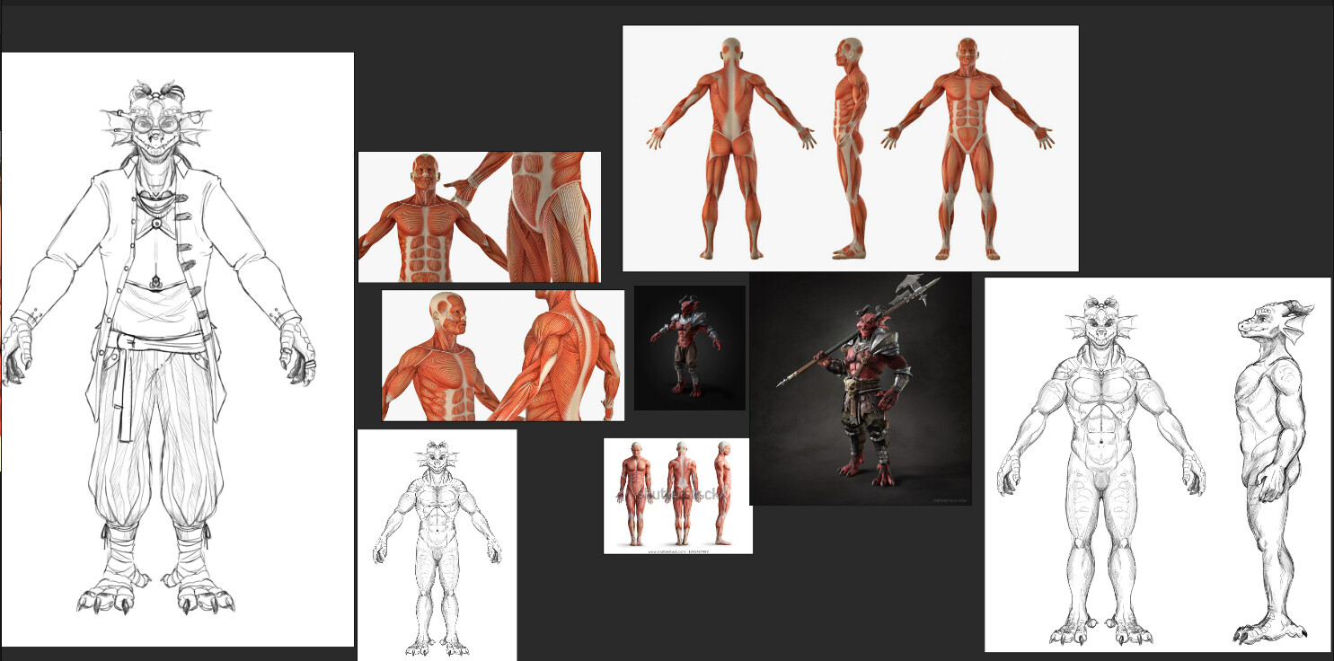 Since this character is a bit of a hybrid, I began this project with anatomical research--I looked everywhere from reptilian animals (mainly crocodiles and alligators) to humanoid anatomy.  I also found similar 3D projects and did my own sketches.