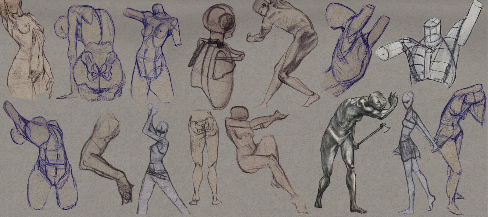 Anatomy Practice | 2020