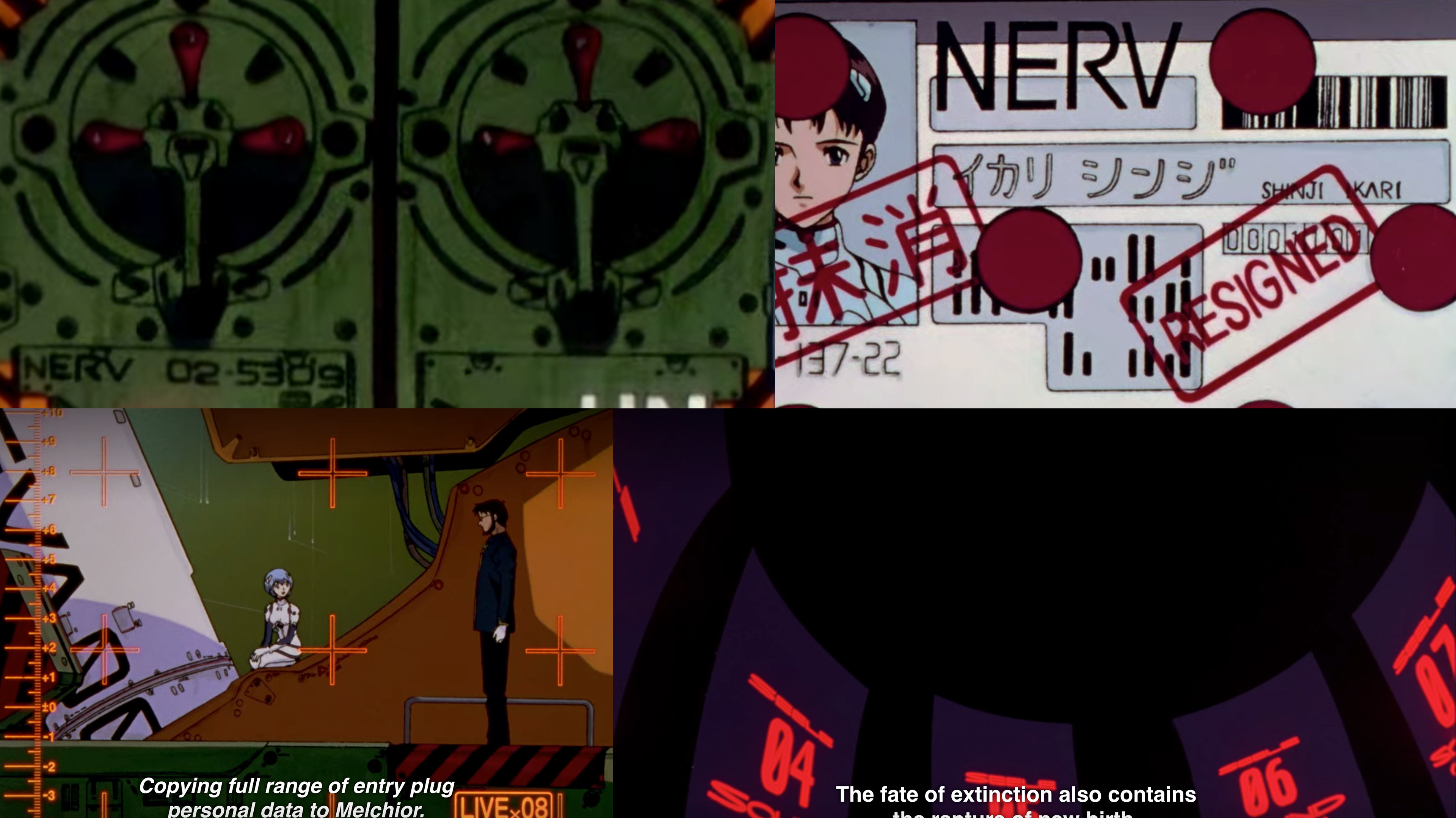 references from the anime