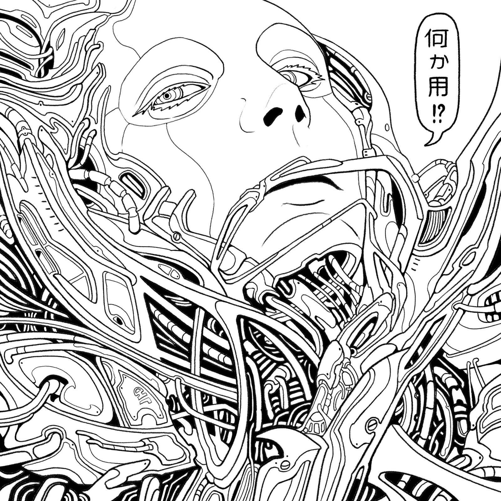 Sketch Work