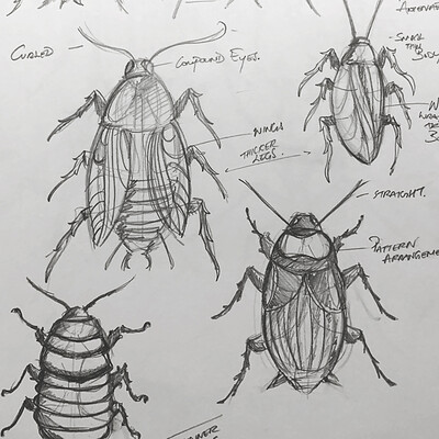 Viveka mendoza bugs concept board study sketches