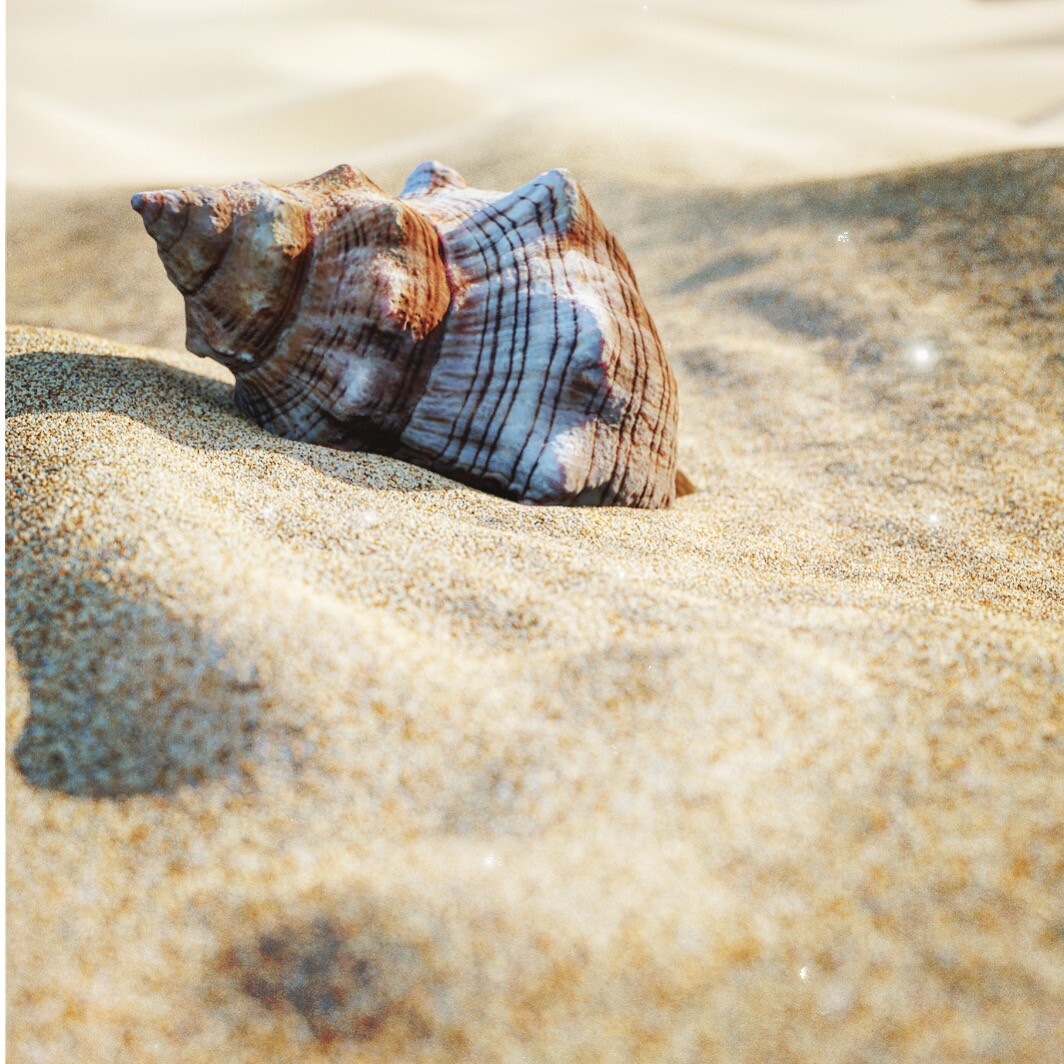 ArtStation - Sunny seashell