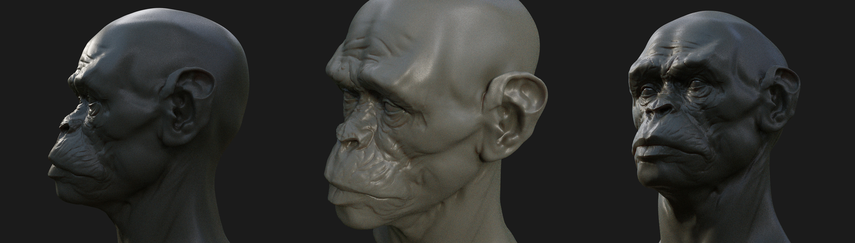 head sculpt 