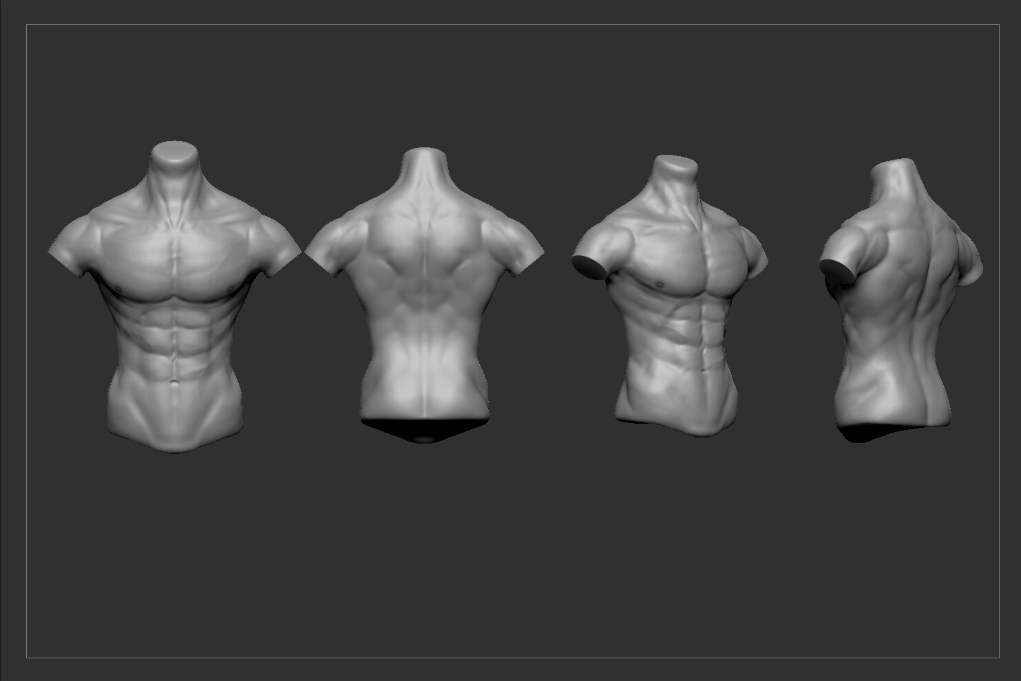 Bala kishor Human Torso