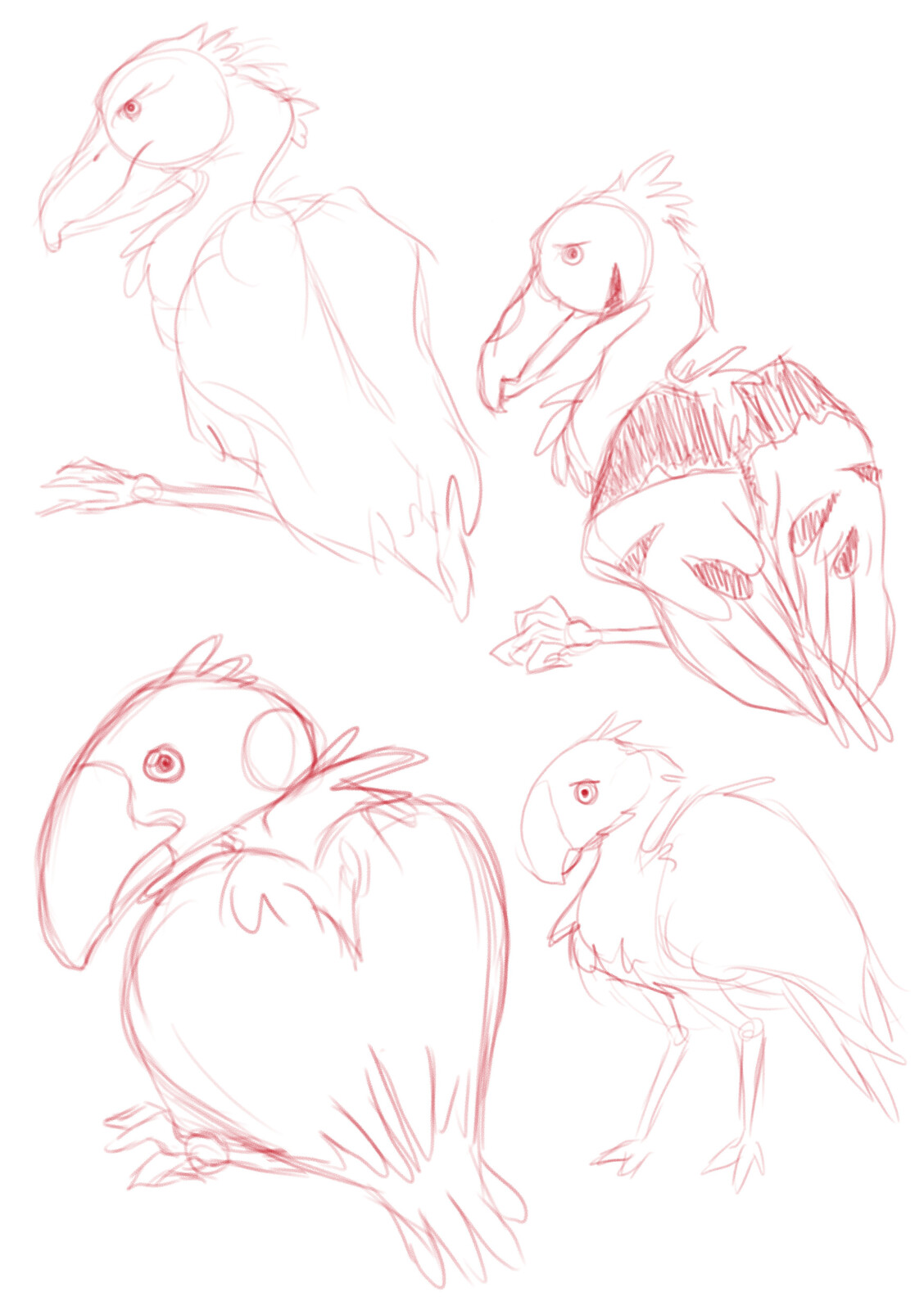 Some initial exploration for the bird character. One of my big inspirations was a type of bird called a Shoebill.