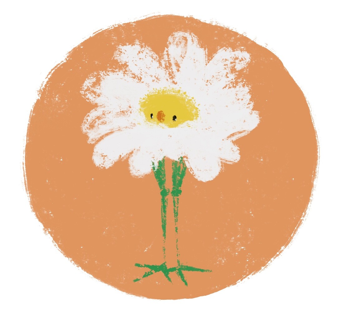 Daisy Bird