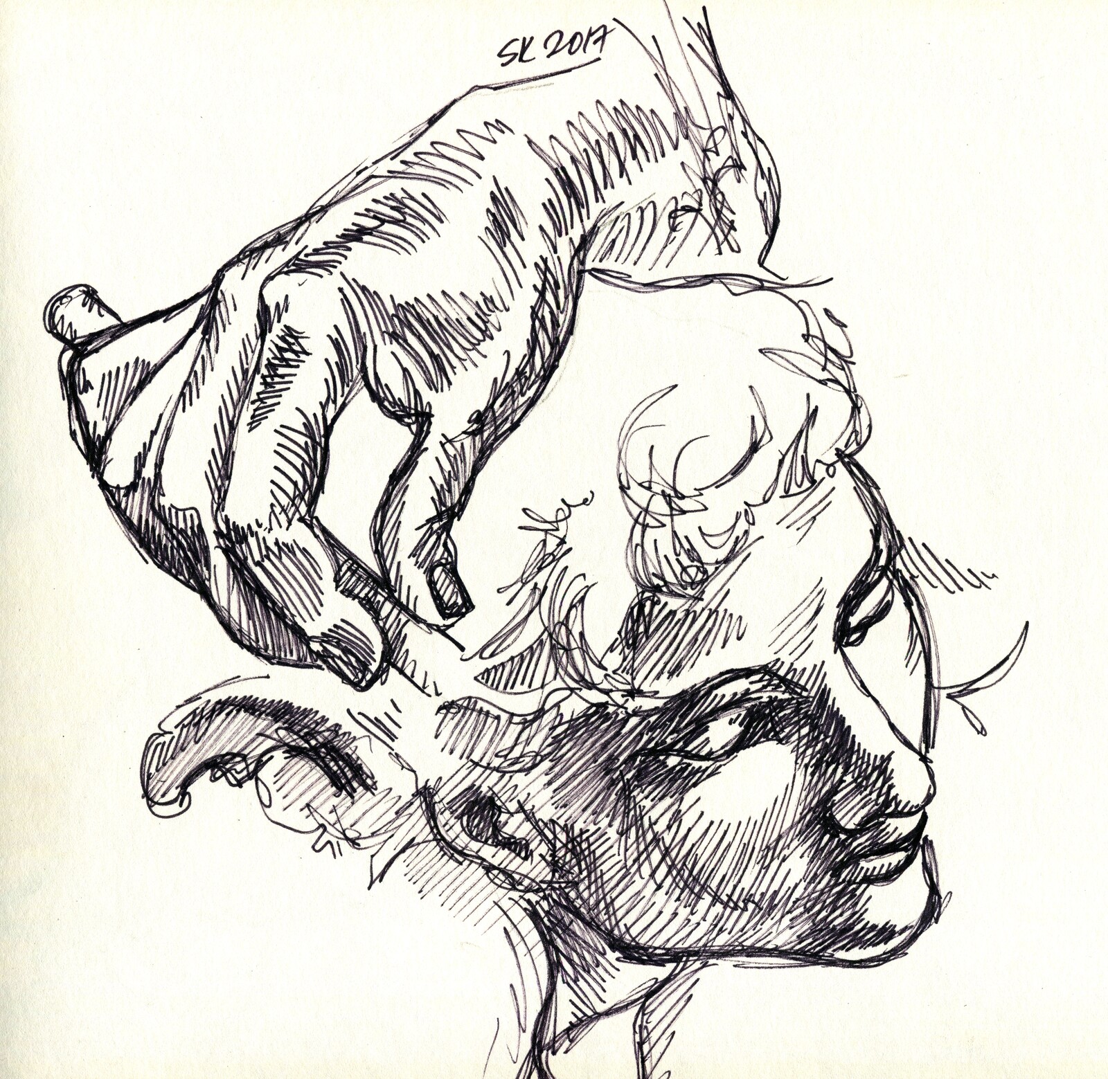 Sketching from my photos, 2017.