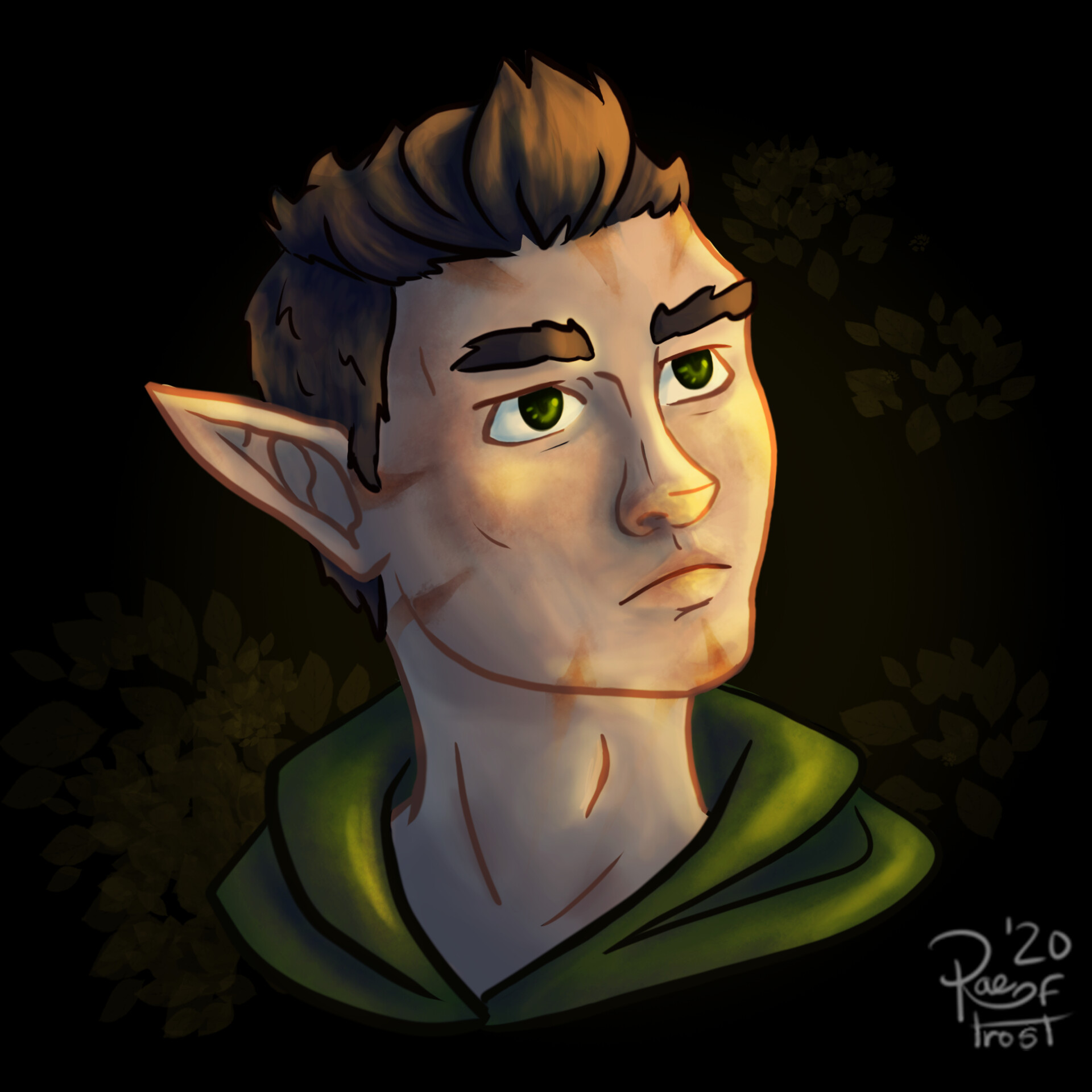 RaeofFrost Fenn Var'Muscaria, Wood Elf Rogue Gloom Stalker Ranger