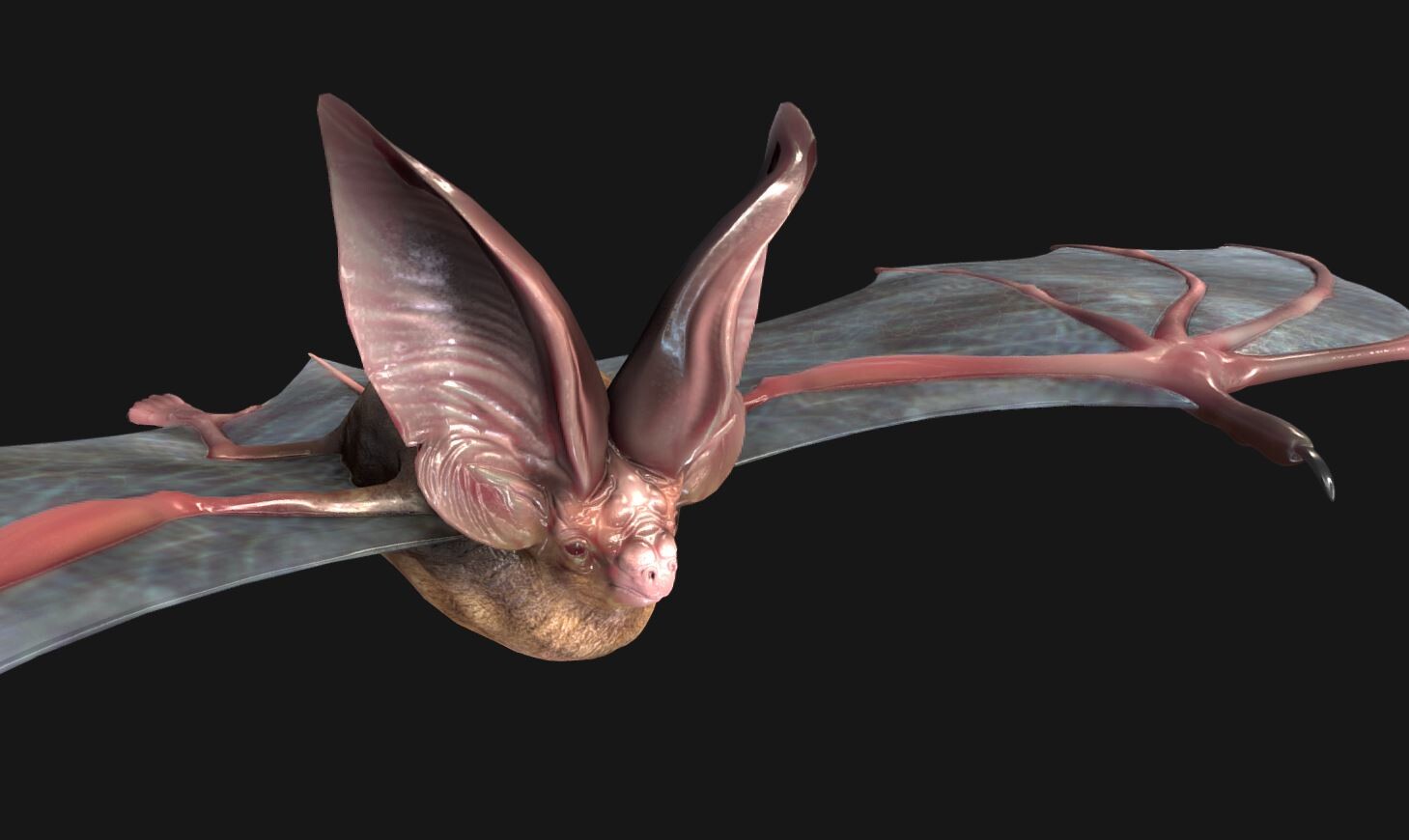ArtStation - 3D Bat Model