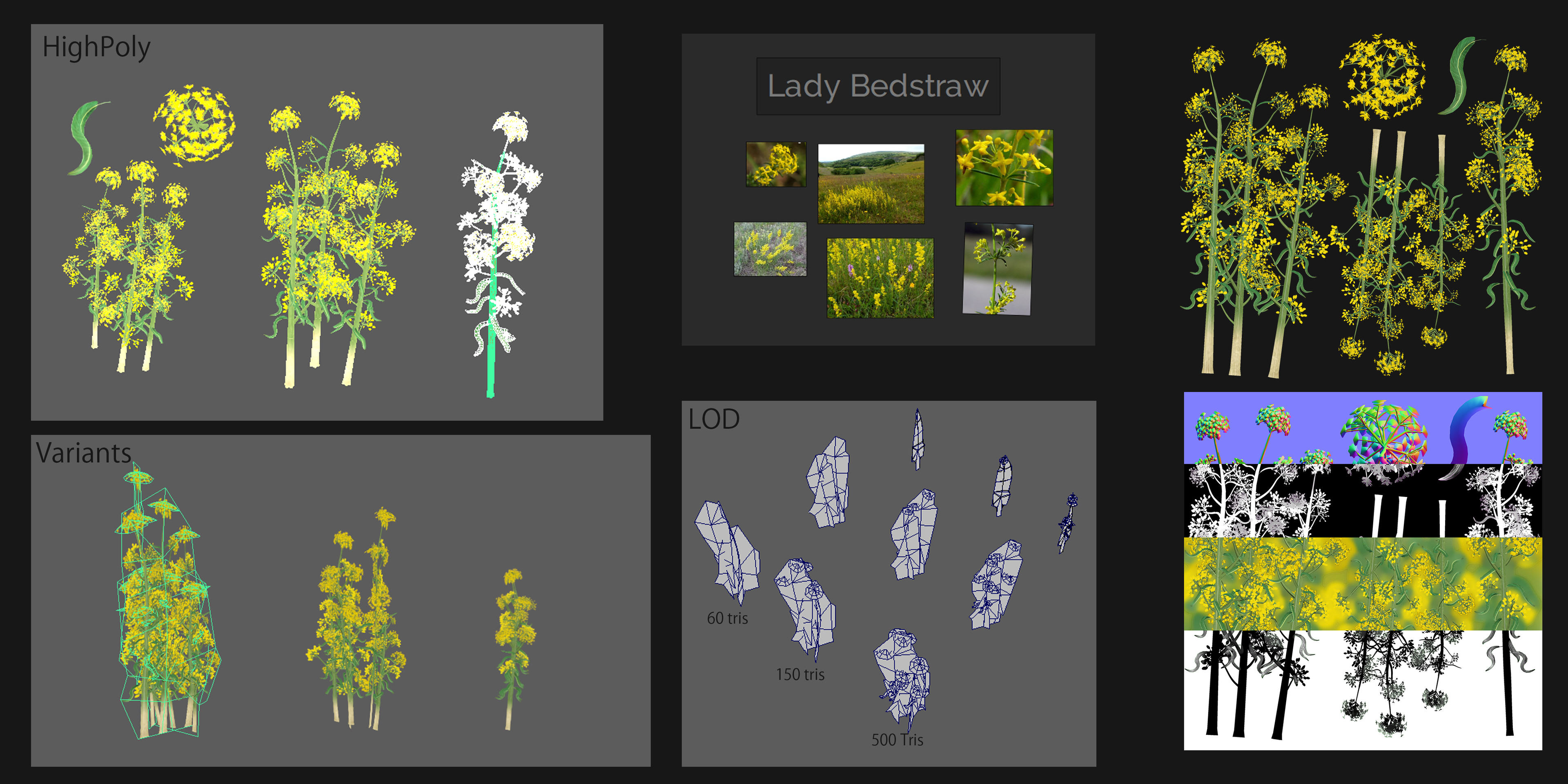 The process of making Lady's Bedstraw Flower: 
Highpoly rendered on a plane with Substance designer.
from there I processed it in photoshop and to make Normals, Roughness, Albedo and Transmitance map.
I edited the texture a bit later in Substance Painter
