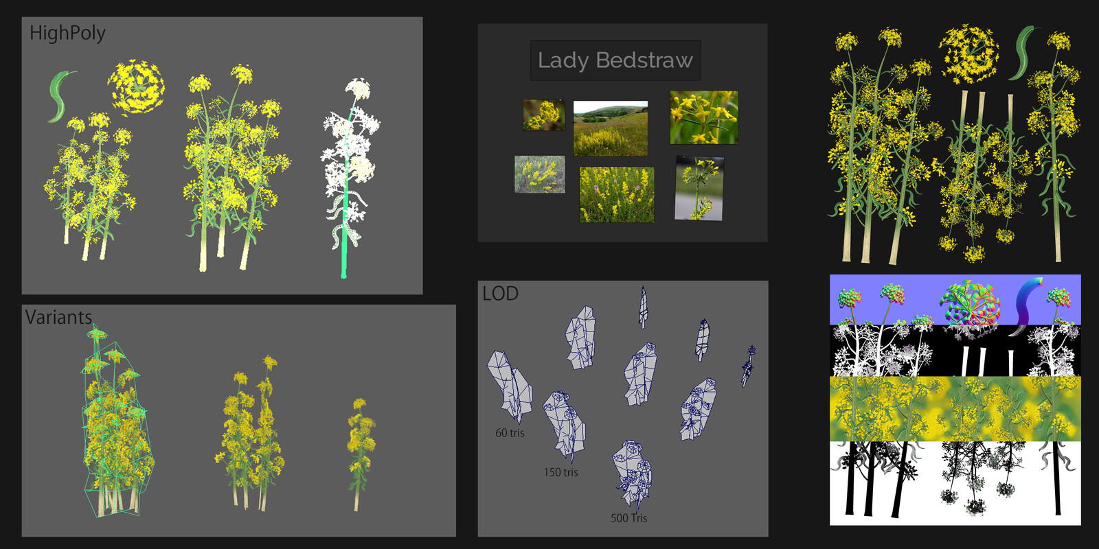 The process of making Lady's Bedstraw Flower: 
Highpoly rendered on a plane with Substance designer.
from there I processed it in photoshop and to make Normals, Roughness, Albedo and Transmitance map.
I edited the texture a bit later in Substance Painter
