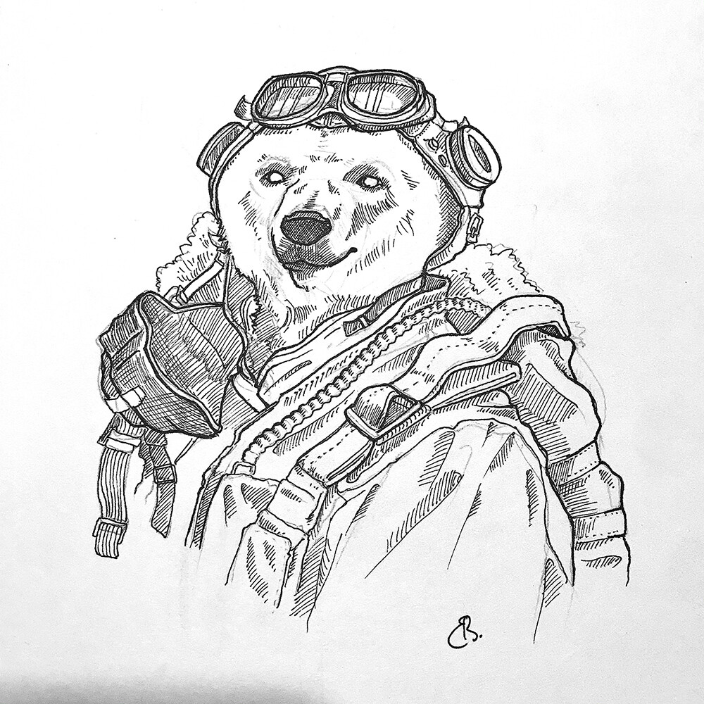 Pilot bear
