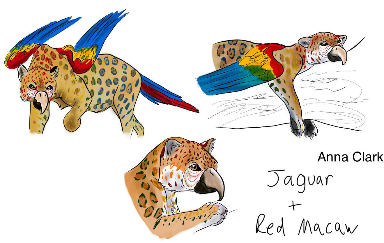 ArtStation - Jaguar/Red Macaw (Personal Project mammal/bird hybrid)