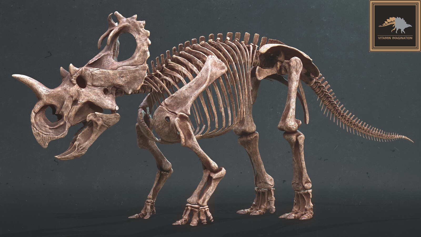 센트로사우루스 CENTROSAURUS