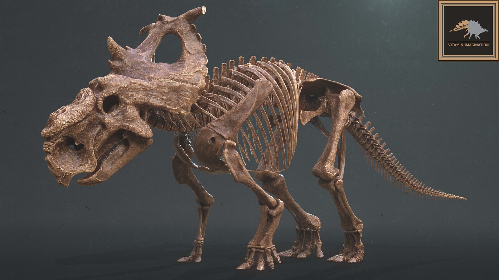파키리노사우루스 pachyrhinosaurus