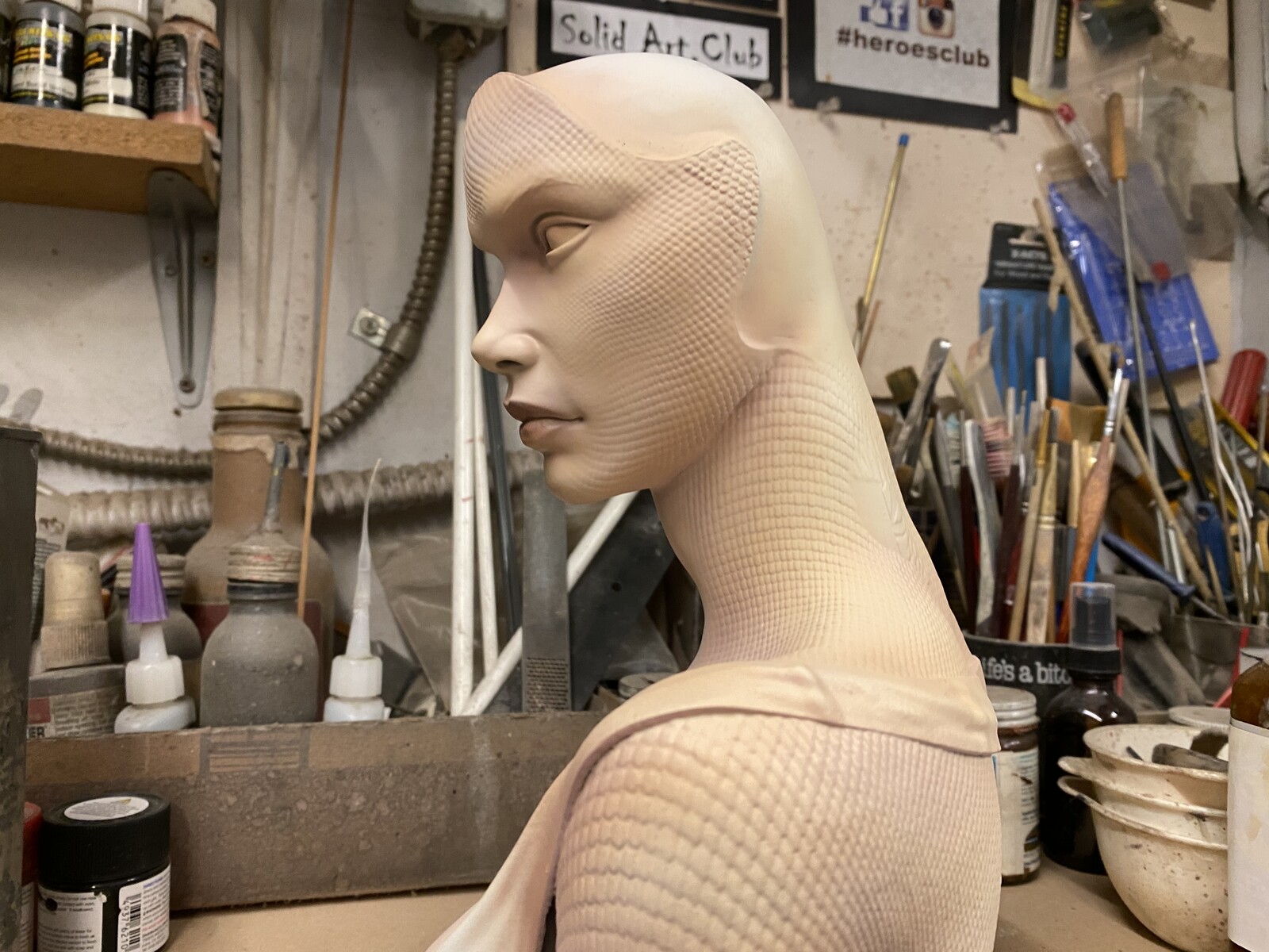 Gorgon Bust W.I.P.
https://www.solidart.club 