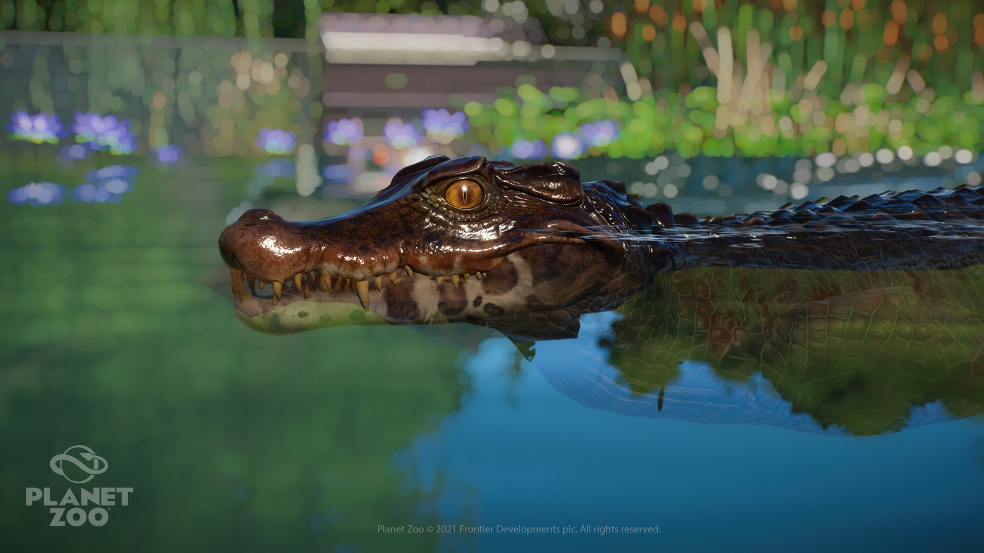 Name one animal you almost forgot existed in Planet Zoo. I'll start:  Spectacled Caiman : r/PlanetZoo