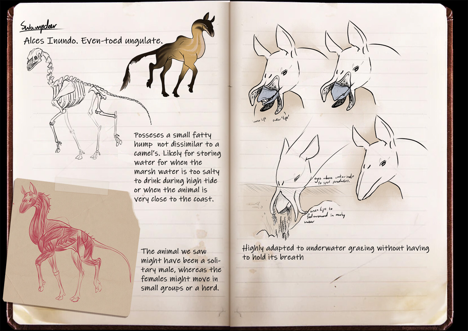 Nadia de Waal Expedition Notes Speculative Evolution