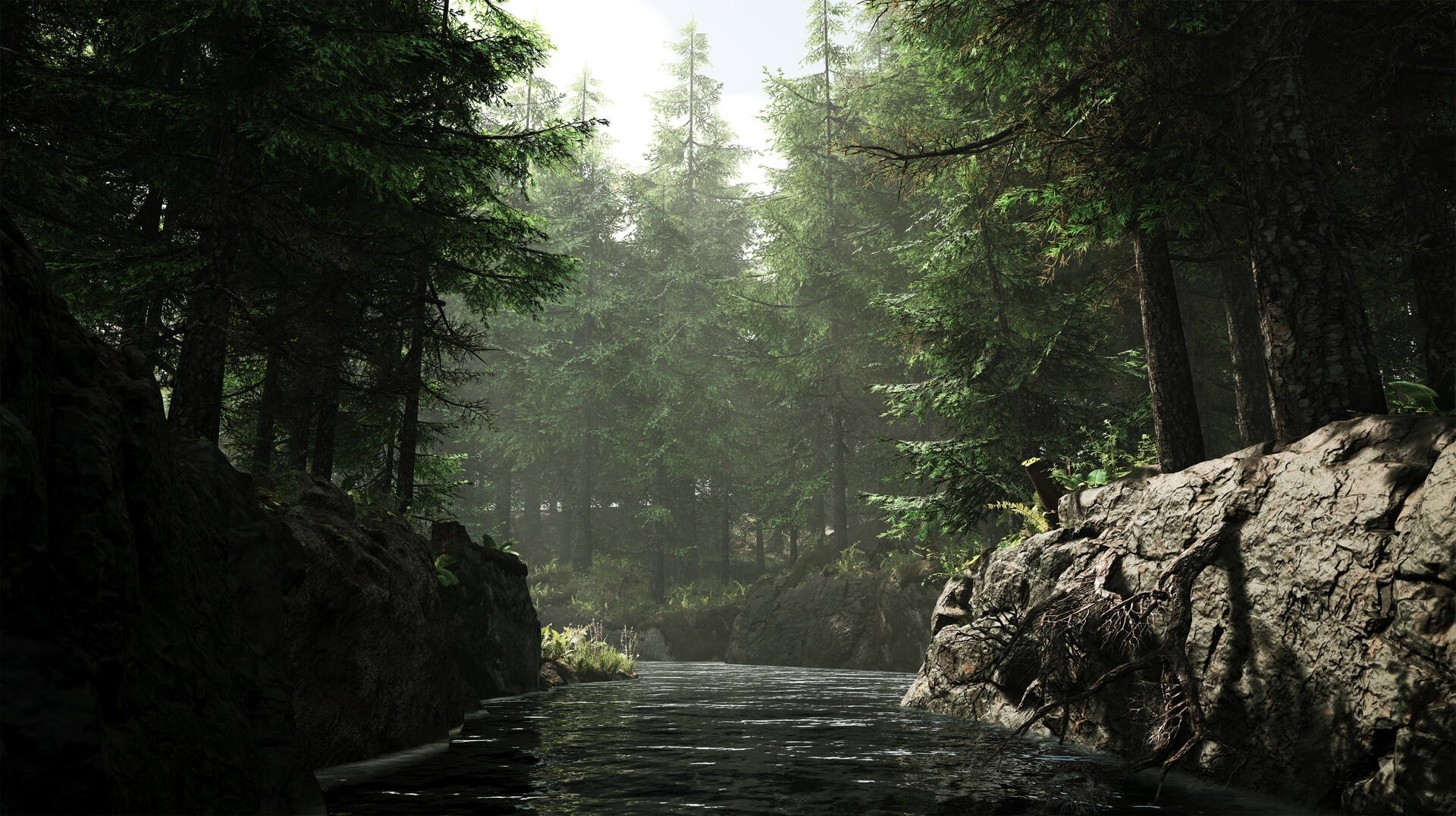 Лесные видео канал новые. Ночь река лес. Photorealistic Jungle Biom 4x4 ue4. Мартанг видео в лесу.
