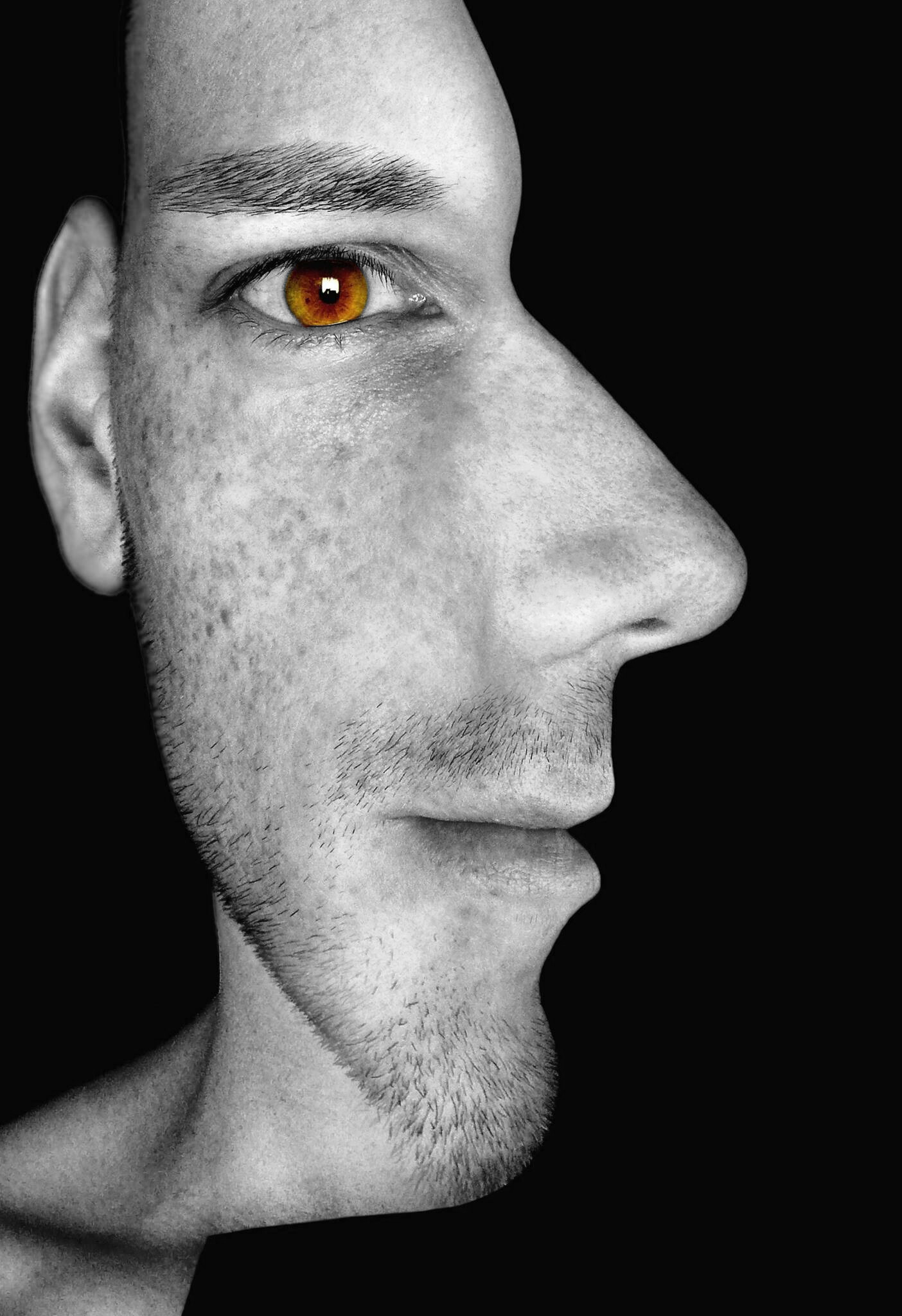 Double face illusion