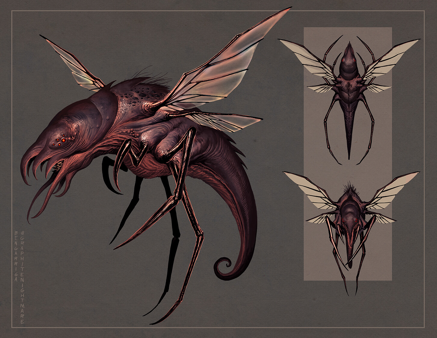 ArtStation - Flying creature design