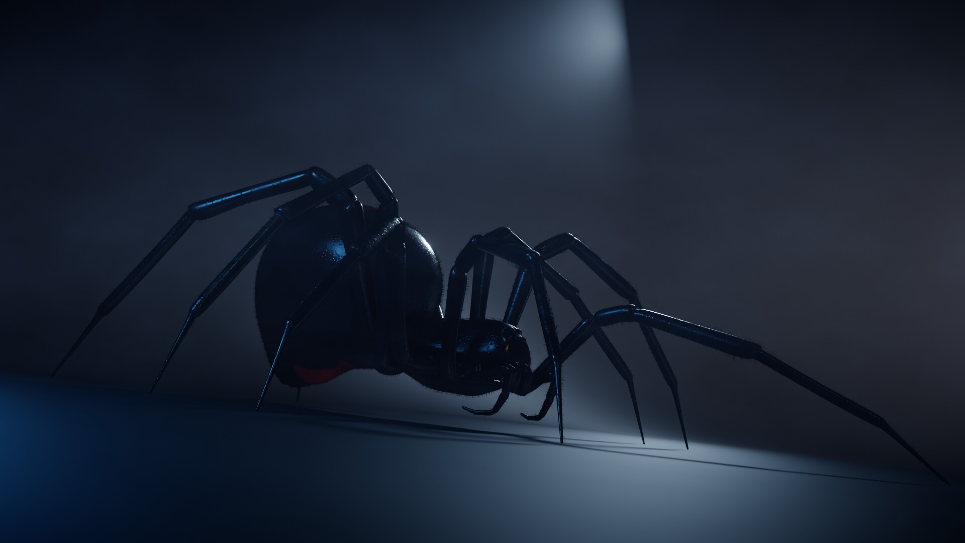 ArtStation - Black widow spider animation