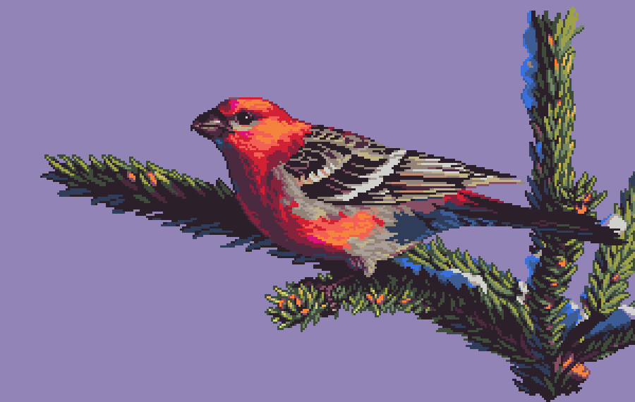 Pine Grosbeak