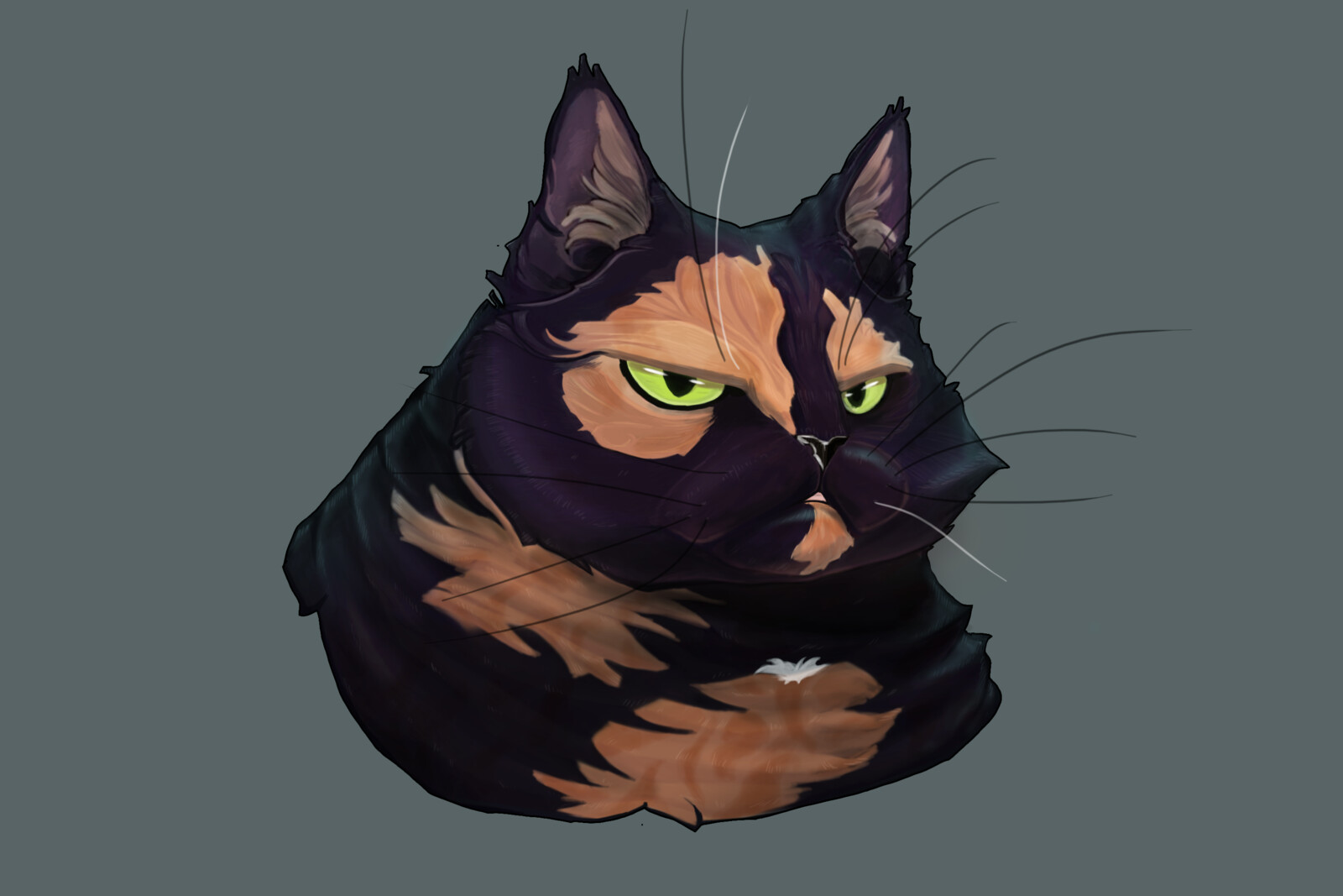 Cinnamon the grumpy cat