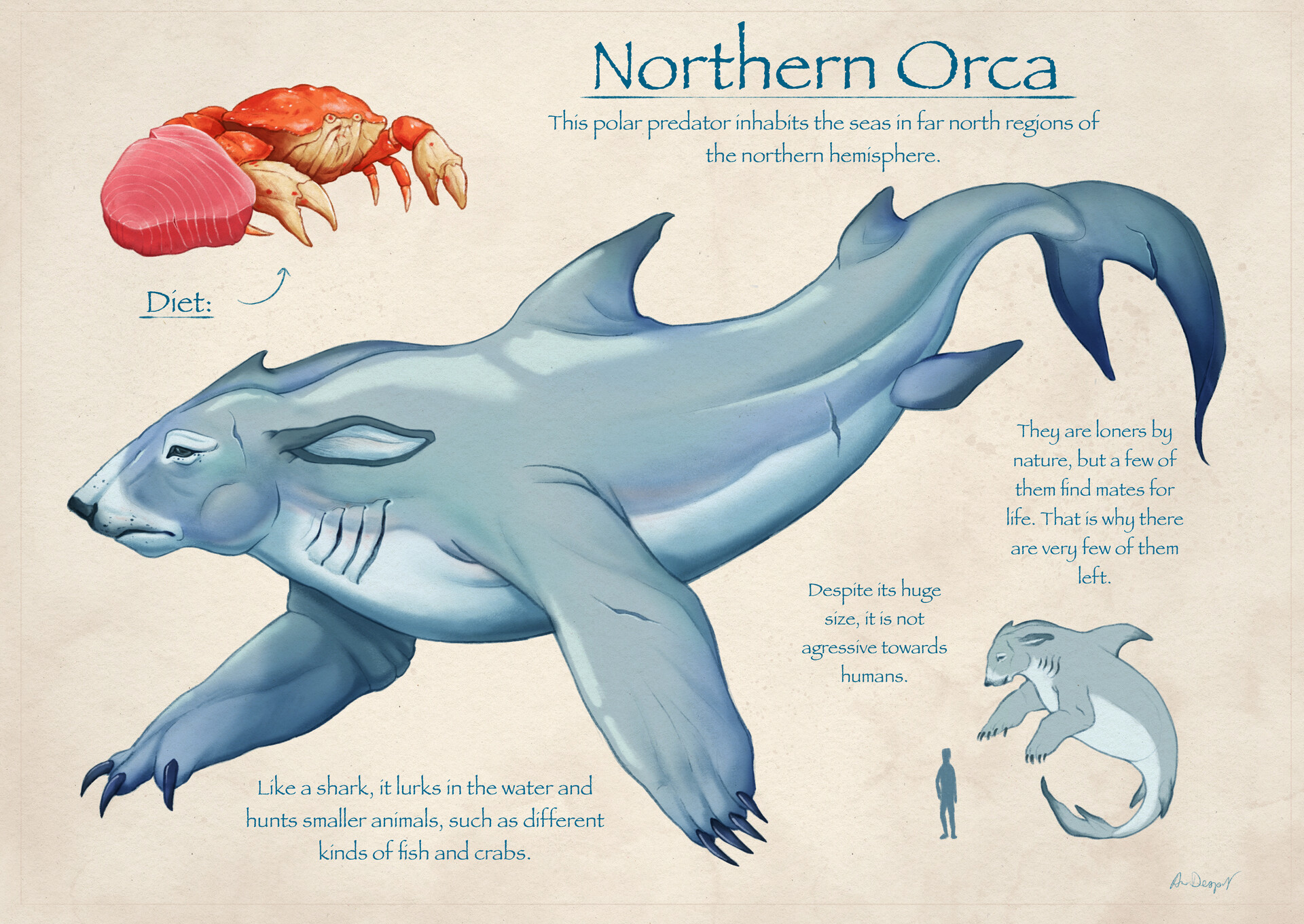 ArtStation - Northern Orca - Creature Design