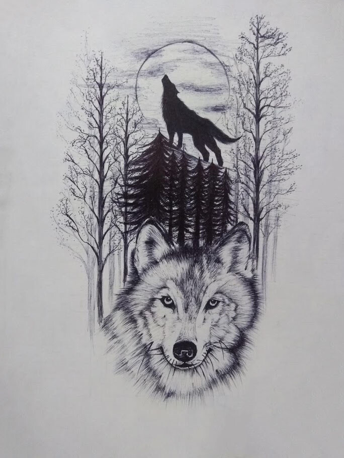 ArtStation - Wolf Drawing