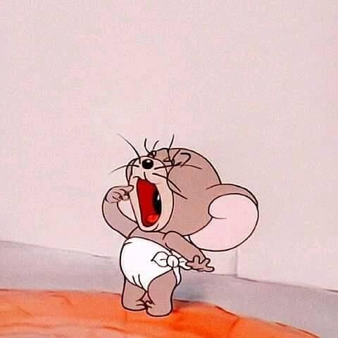 Jerry, chú chuột tinh nghịch đầy hài hước, luôn là bạn đồng hành đáng yêu của những người yêu thích hoạt hình. Xem ảnh liên quan đến từ khóa này để gặp lại những kỷ niệm thời thơ ấu và biết thêm về phim hoạt hình mới sắp ra mắt.