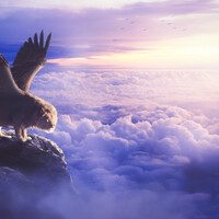 artstation dream and reality photuts