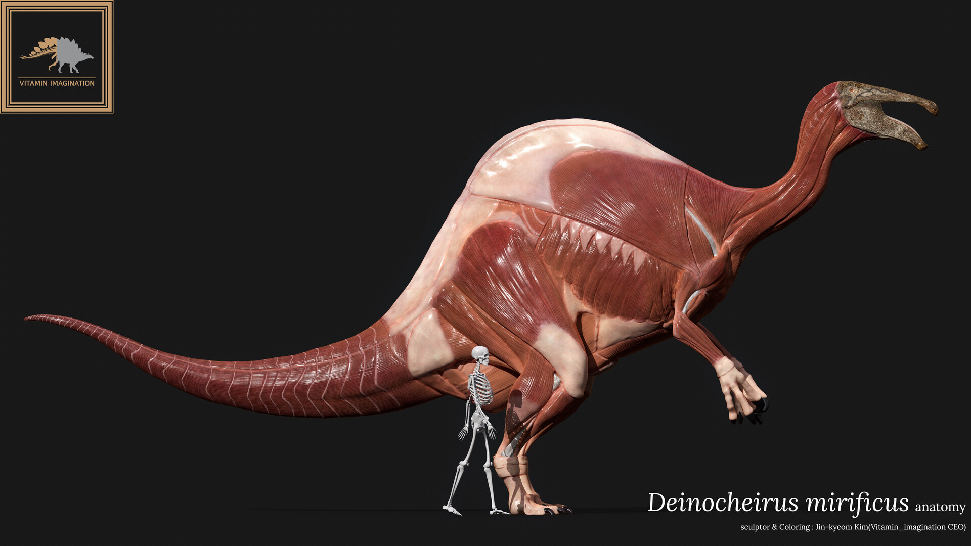 ArtStation - Deinocheirus mirificus anatomy
