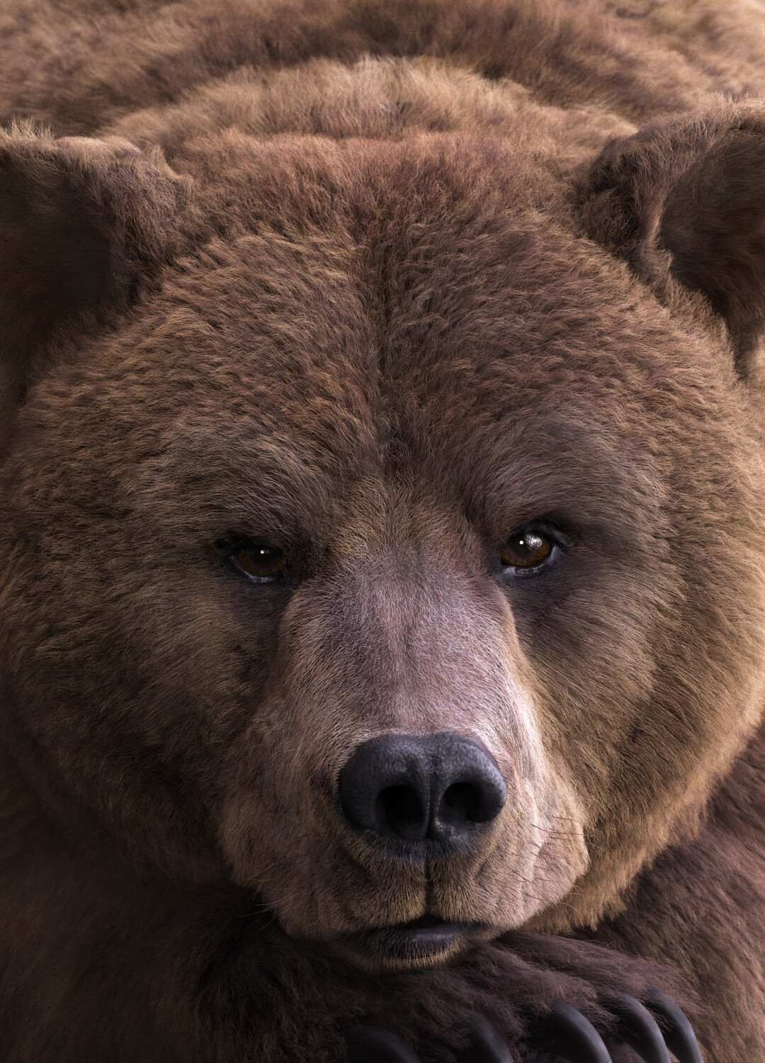 Bear Portrait