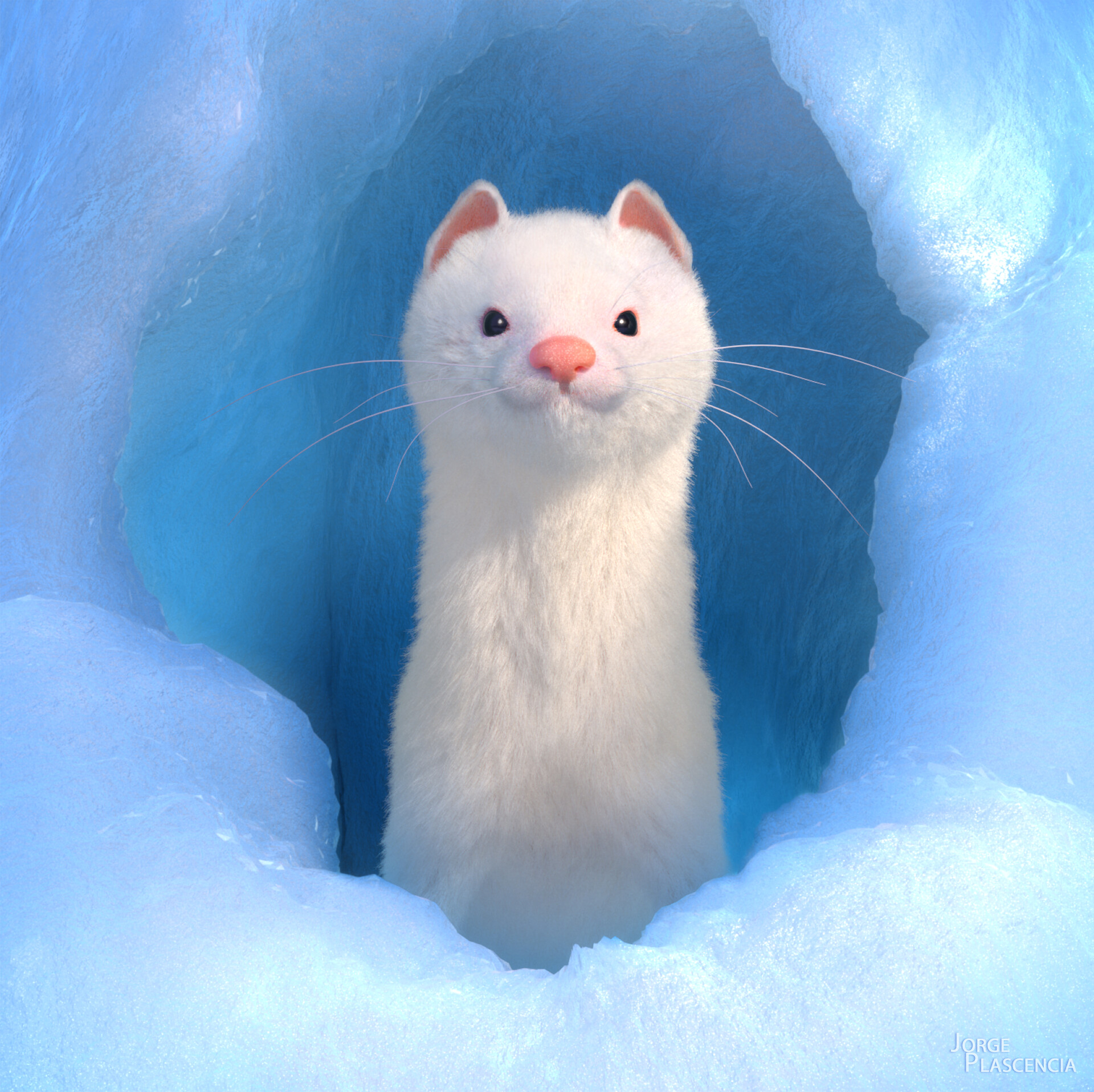 White snow ferret sale