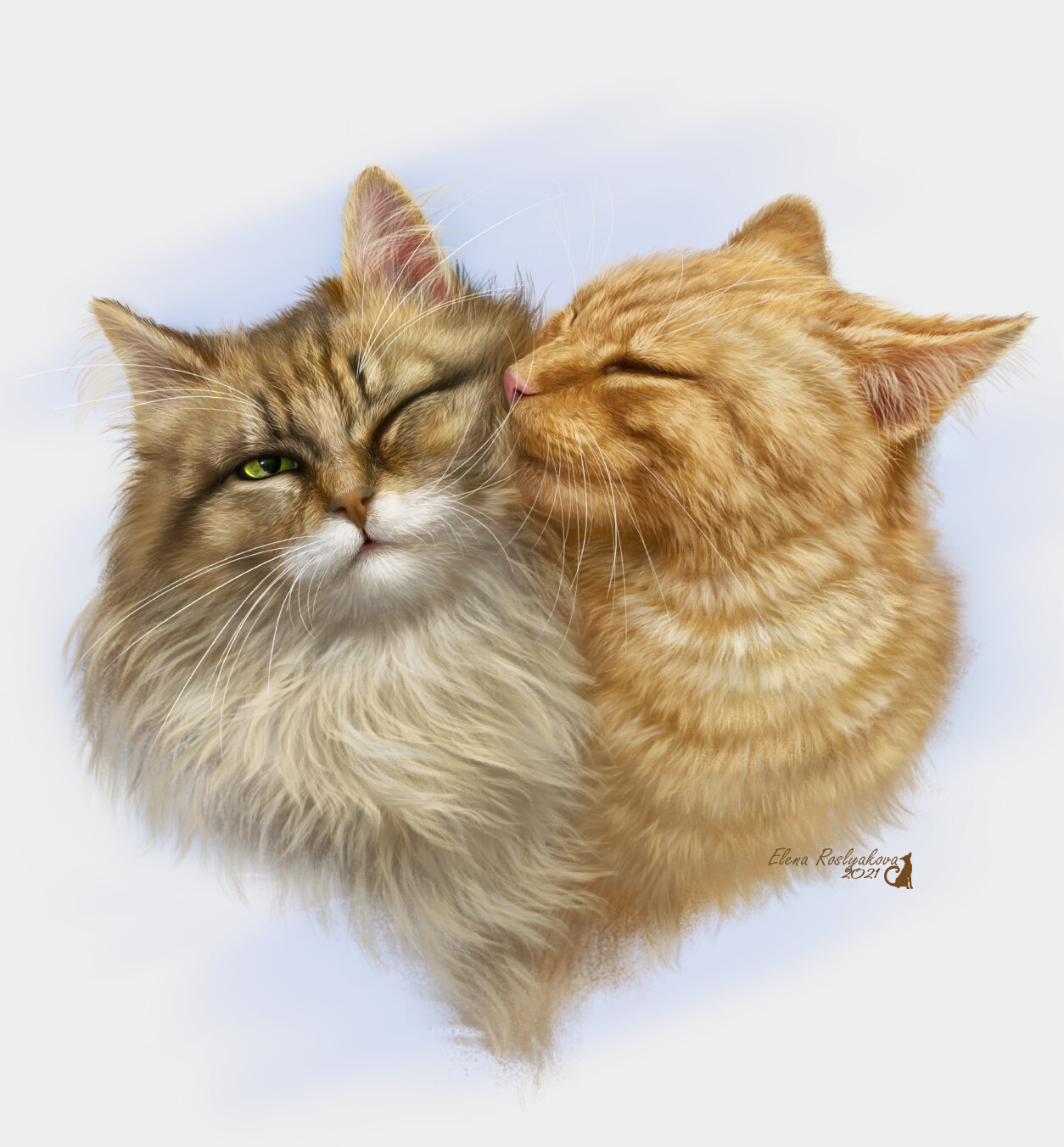 Картинки целую котика