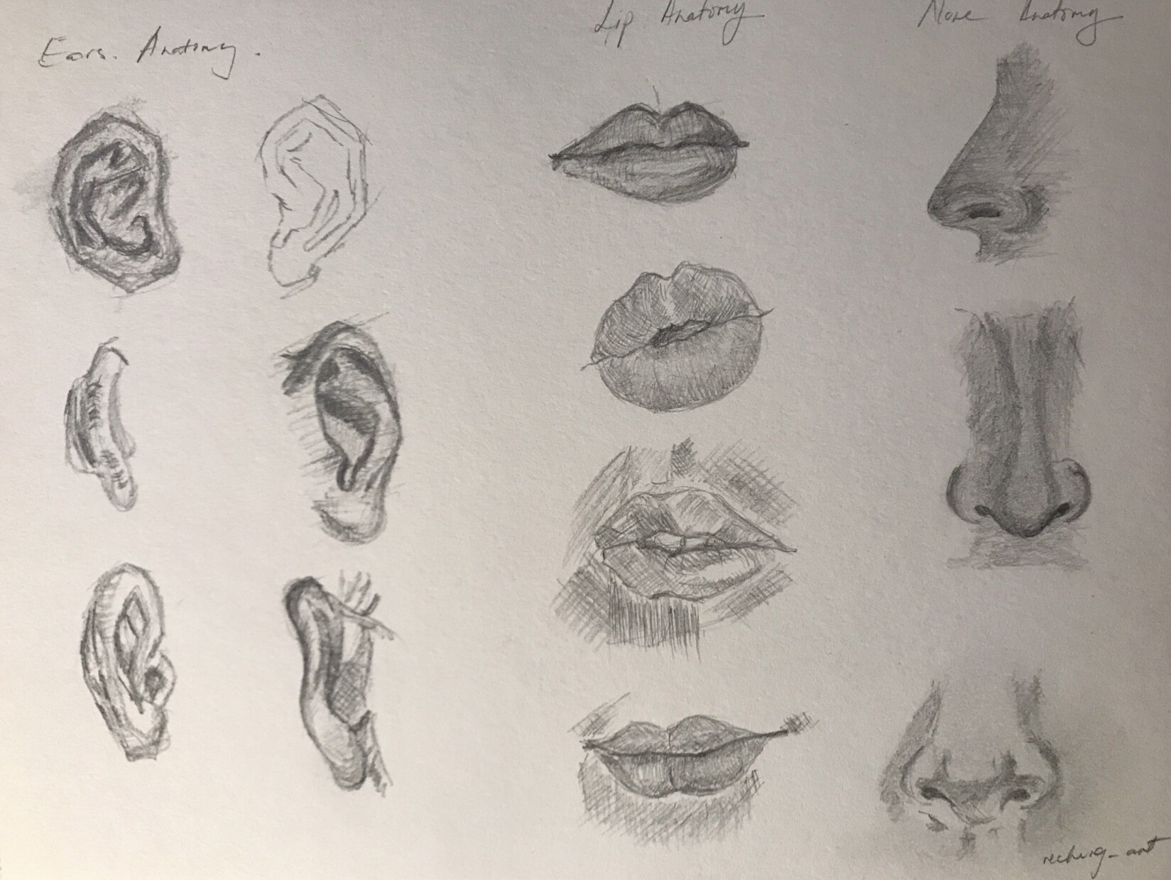 ArtStation - Facial Features - Anatomy Study