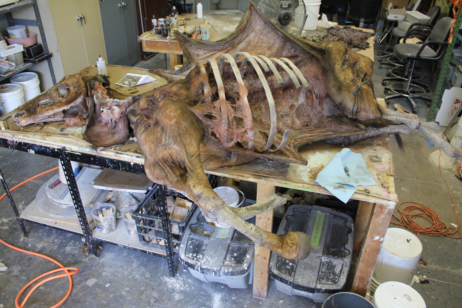Horse Corpse Fabricated Prop