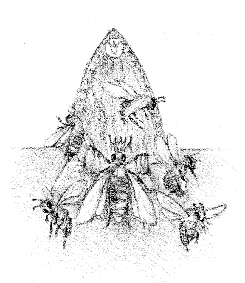 Illustration